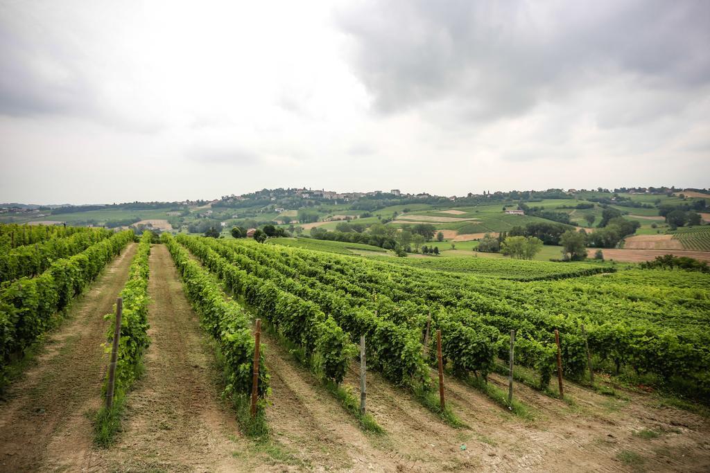 Naturalmente Wine Resort Agliano Terme Exteriér fotografie