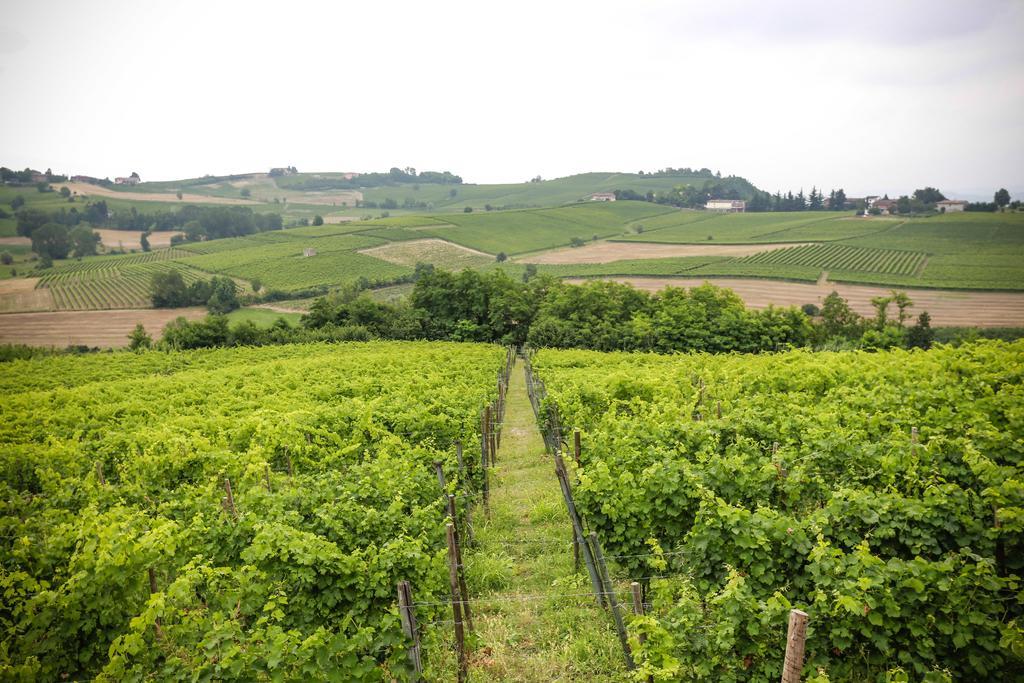 Naturalmente Wine Resort Agliano Terme Exteriér fotografie
