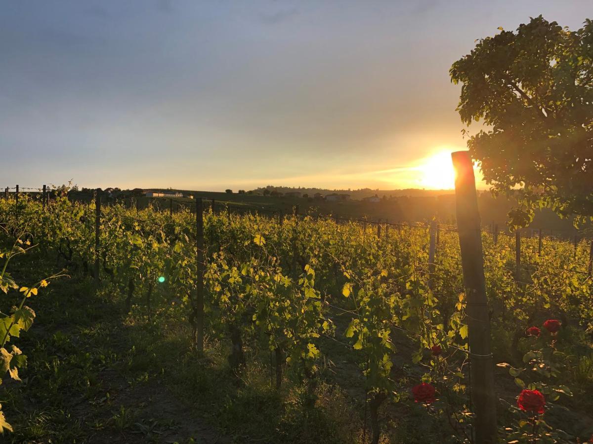 Naturalmente Wine Resort Agliano Terme Exteriér fotografie